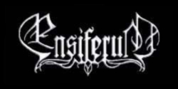 Biografia Wintersun (Part 1 - Ensiferum)